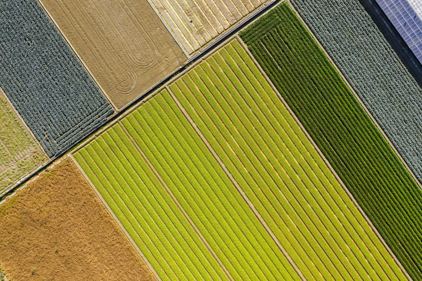 Cumplimiento de la seguridad alimentaria_155395046_l_normal_none-3-2