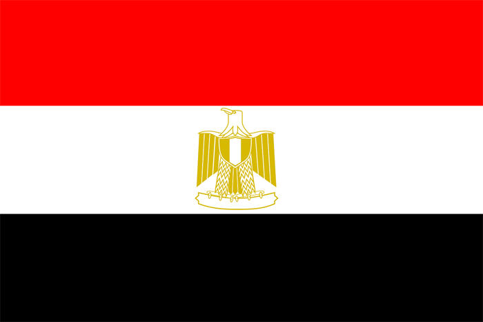 Egipto cadena de suministro farmacéutico EPTTS